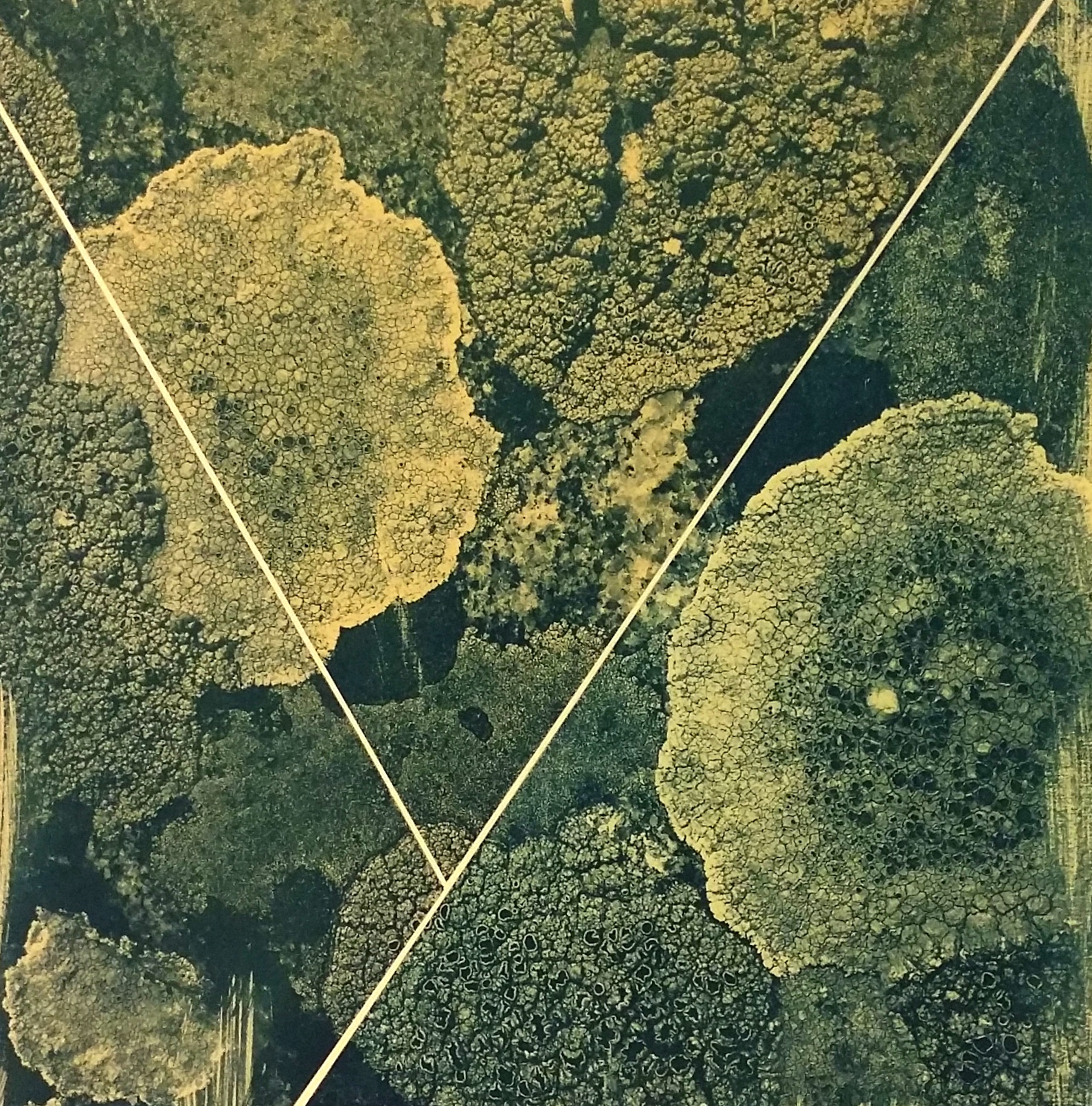 Vinstlista-Konst-Våren-2017
